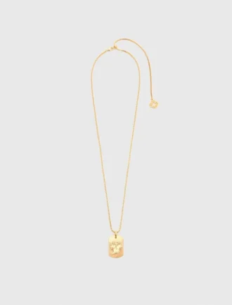 Halsband med stjärnteckensplakett