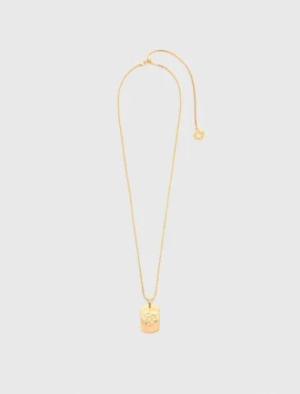 Halsband med stjärnteckensplakett