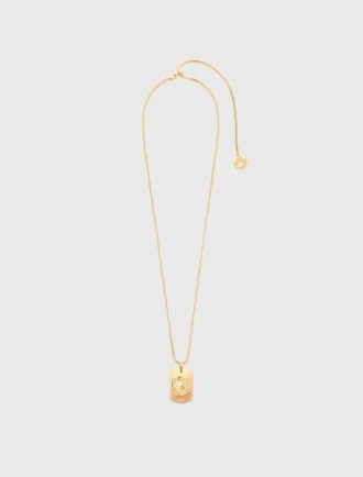 Halsband med stjärnteckensplakett