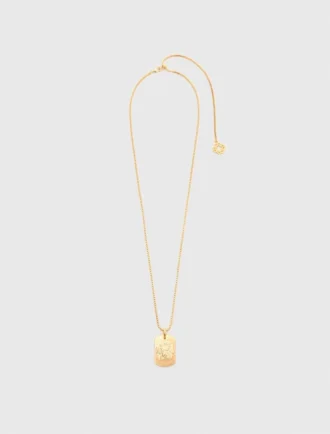 Halsband med stjärnteckensplakett