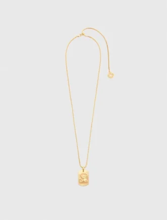 Halsband med stjärnteckensplakett