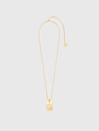 Halsband med stjärnteckensplakett