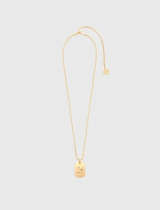 Halsband med stjärnteckensplakett