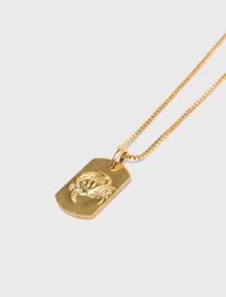 Halsband med stjärnteckensplakett
