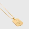 Halsband med stjärnteckensplakett