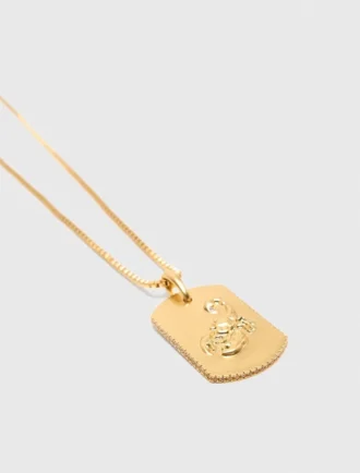 Halsband med stjärnteckensplakett