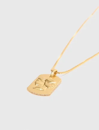 Halsband med stjärnteckensplakett