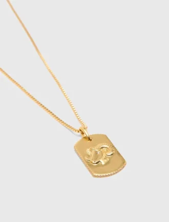 Halsband med stjärnteckensplakett