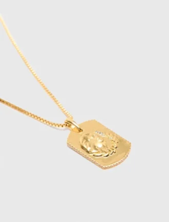 Halsband med stjärnteckensplakett