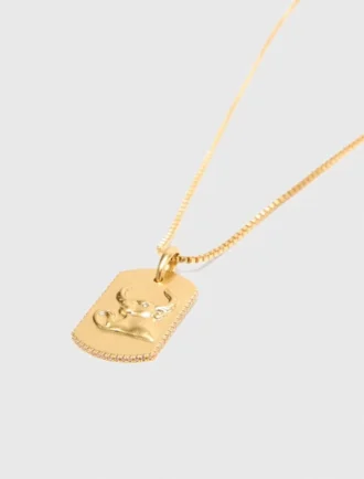 Halsband med stjärnteckensplakett