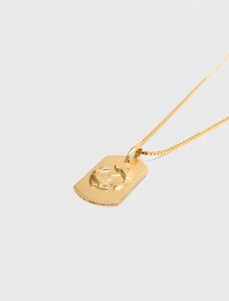 Halsband med stjärnteckensplakett