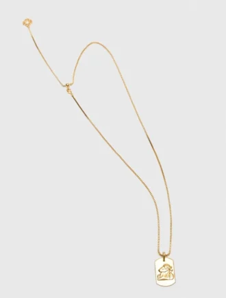Halsband med stjärnteckensplakett