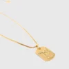 Halsband med stjärnteckensplakett