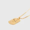 Halsband med stjärnteckensplakett