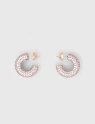 Örhängen med strass Örhängen med strass